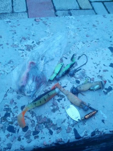 IMG_20160213_141407.thumb.jpg.92cdc20d32