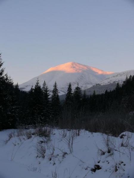 P1070218.thumb.JPG.97b4eab1c570f6ea56cbc