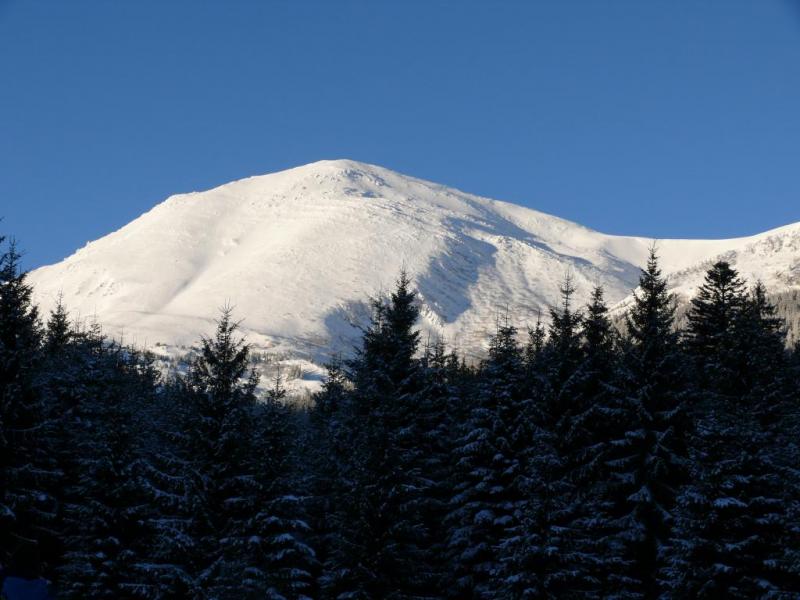 P1070221.thumb.JPG.94d57f80e5566fe478360