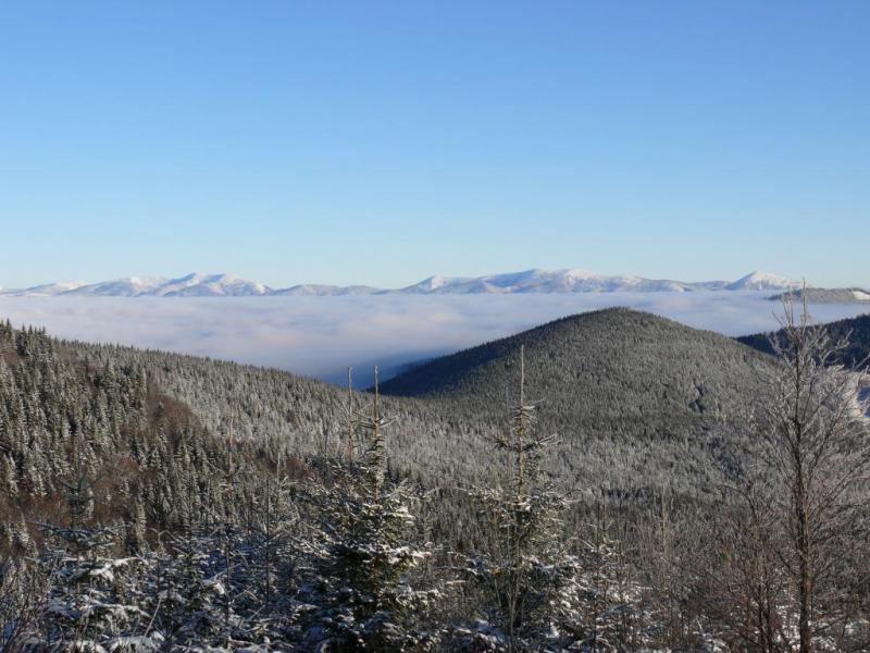 P1070235.thumb.JPG.4b1c35cef7539dde6b62c