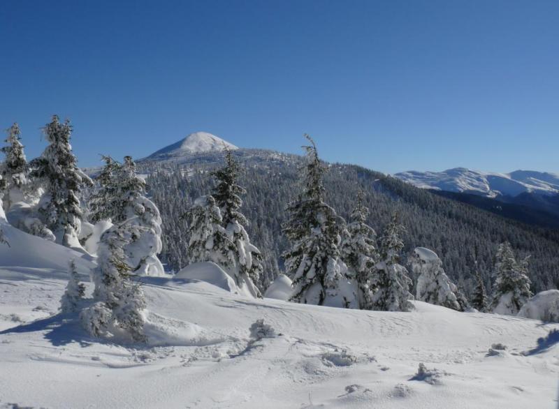 P1070248.thumb.JPG.3e0b071b8ad43b37f5573