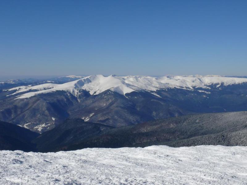 P1070256.thumb.JPG.294b8fccd1c2161e15430