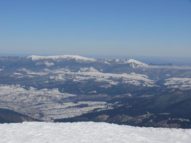 P1070261.thumb.JPG.ba5e2a8116290782e686f