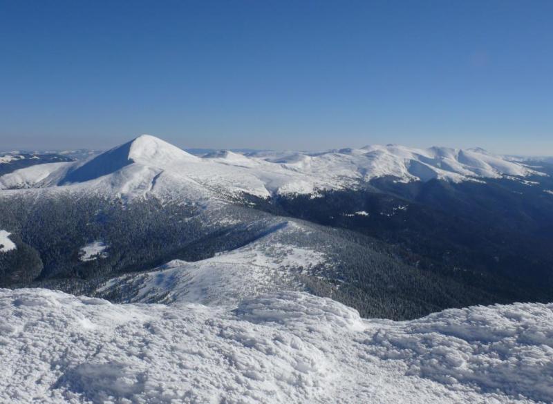 P1070271.thumb.JPG.f0723eedcdedd10fde12f