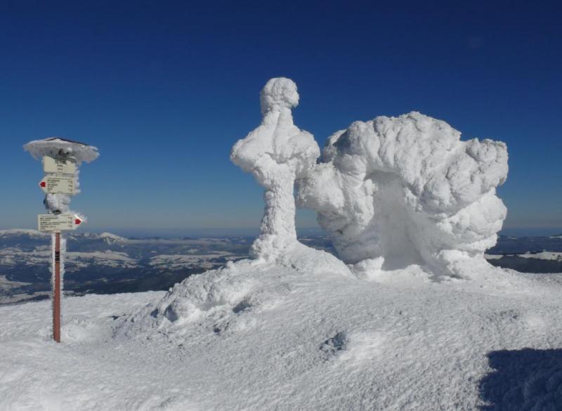 P1070273.thumb.JPG.508a89e5de748d05e9c53