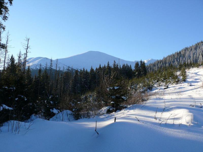 P1070313.thumb.JPG.3888f8ddeb34b31eab472