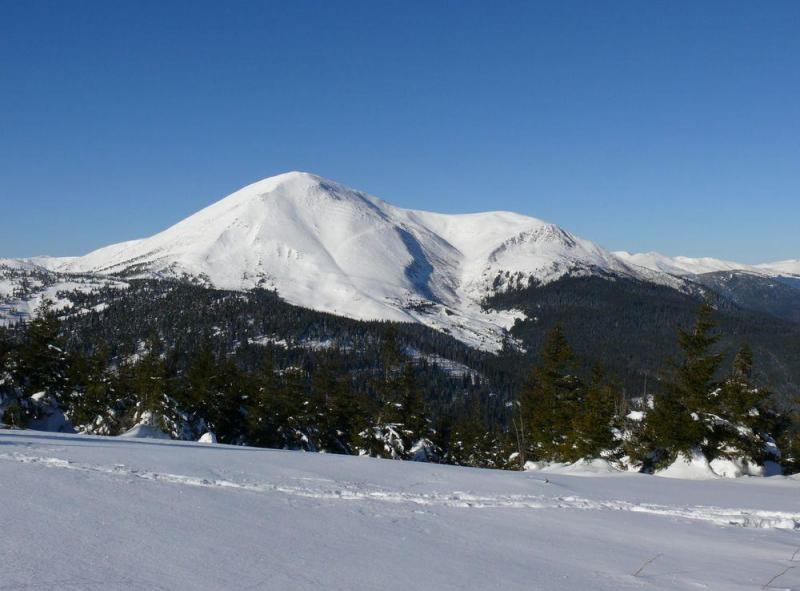 P1070325.thumb.JPG.b1c8037afa42eed6967aa