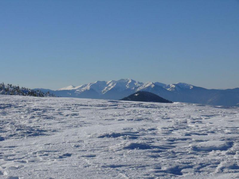 P1070331.thumb.JPG.aca6c3fb7fe1f692b2a1a