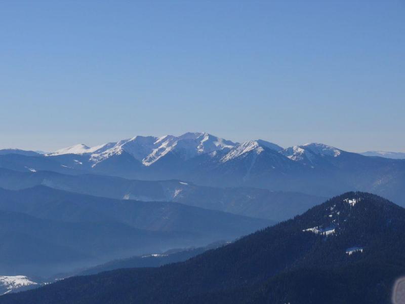 P1070356.thumb.JPG.ffeca6a4f95b637f09e5a