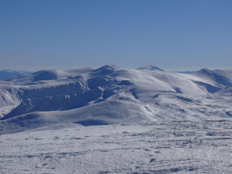 P1070366.thumb.JPG.7287dcf10c48eb6d281f0