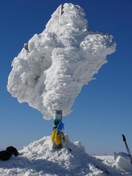 P1070398.thumb.JPG.2e1d2dccddae2c1b28057