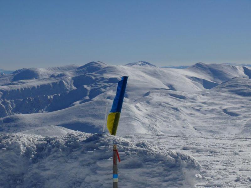 P1070399.thumb.JPG.61245d715ee80e058bf75