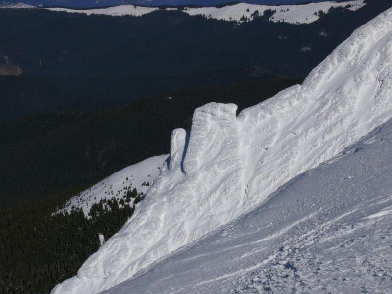 P1070402.thumb.JPG.3b68e58525df0560c2ddc