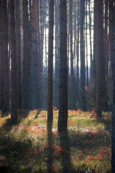 dhdtryujuuiu.thumb.jpg.49c6b50eda7667dc2