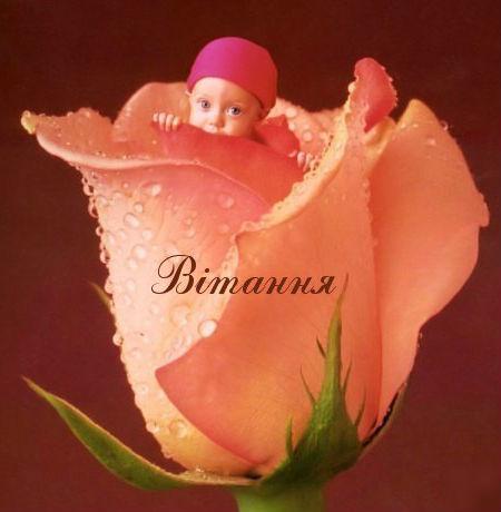 dsnfyyz.jpg.1c30c39625c1329ce1cdbf5dfb5d