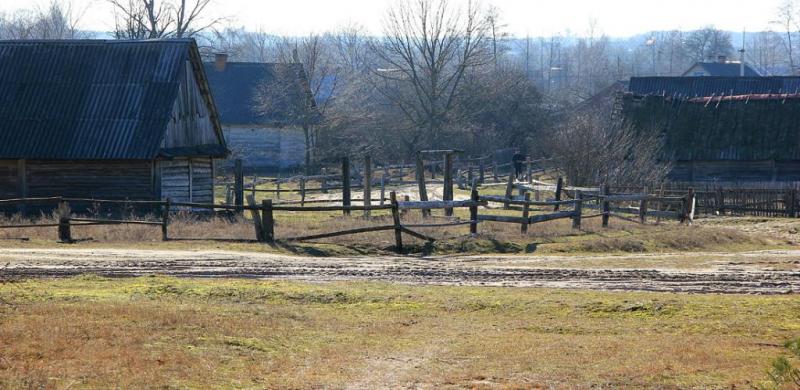 gfnnxdfxsgg.thumb.jpg.88b2610821224b4c4f