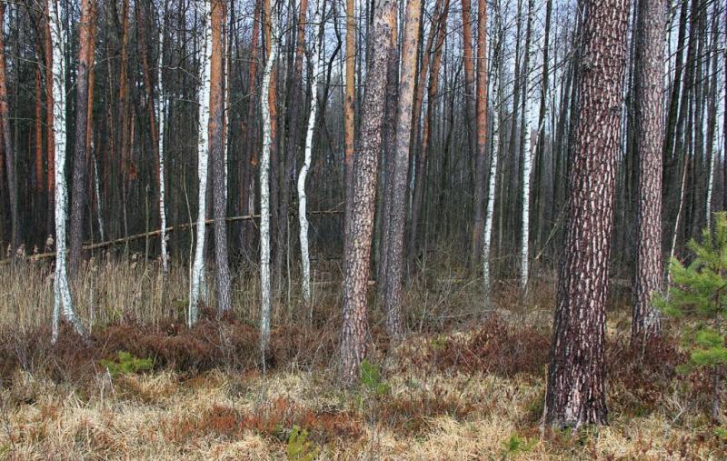 gkuyfhfdgd.thumb.jpg.6ffd258a92ab8bd2a2b