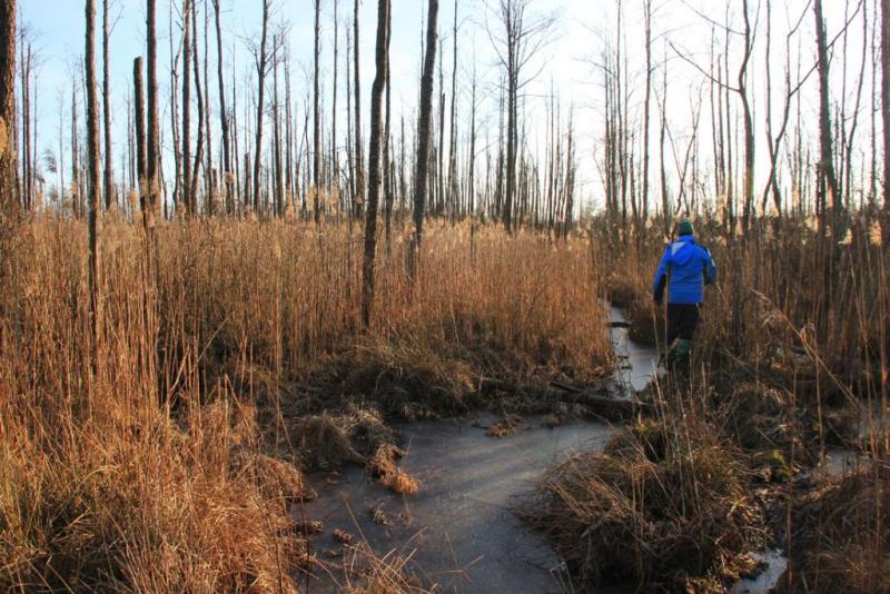 hdrgasfs.thumb.jpg.879eb57e92730ff2843db