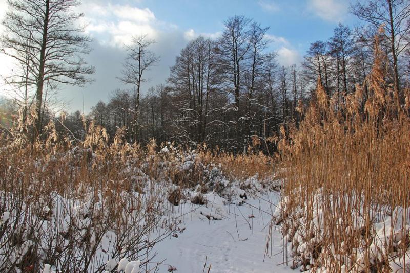 hjytjxdchhhh.thumb.jpg.44e881e7ef6838c0f