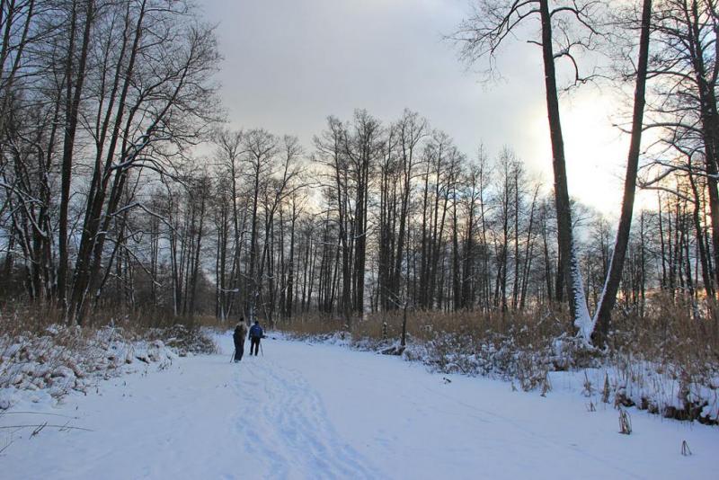 hnfdfffg.thumb.jpg.9204dc0656f65d16d8407