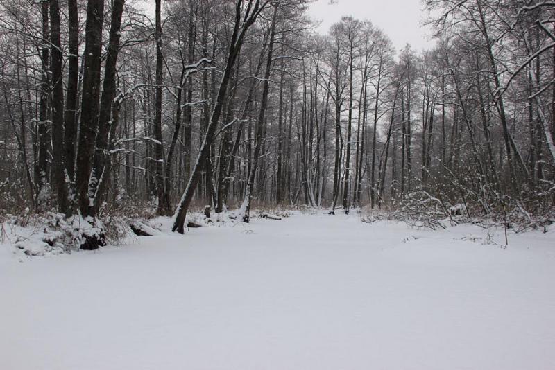 hnyuhtrgr.thumb.jpg.47ad12d01baca1d139db