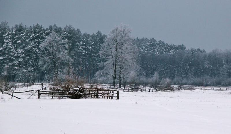 htrgserseht.thumb.jpg.0af6cd95f36254f302