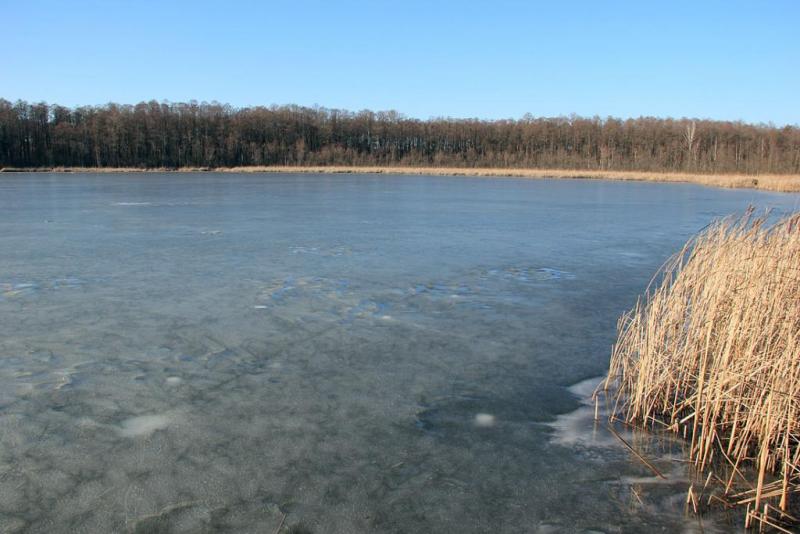 htyhdgfd.thumb.jpg.d0c292f50aa4c8c7edd2c