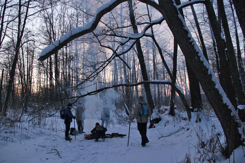 hytjgfrstrd.thumb.jpg.a5ac52fb63c25a63b4