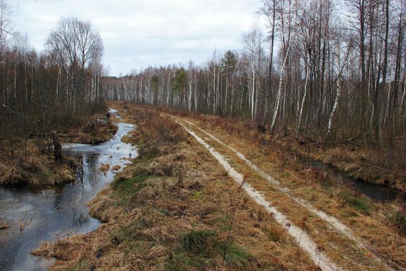 hyumjtythsdg.thumb.jpg.16b1e7beb6f2632f8