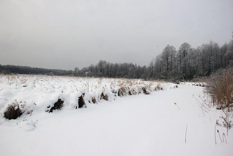 ilujyddd.thumb.jpg.3288c2d752cec4312cde2