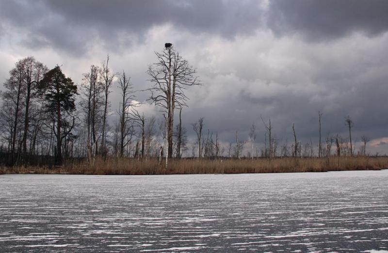 iolgsddrfdjyu.thumb.jpg.82b2d65510961abd