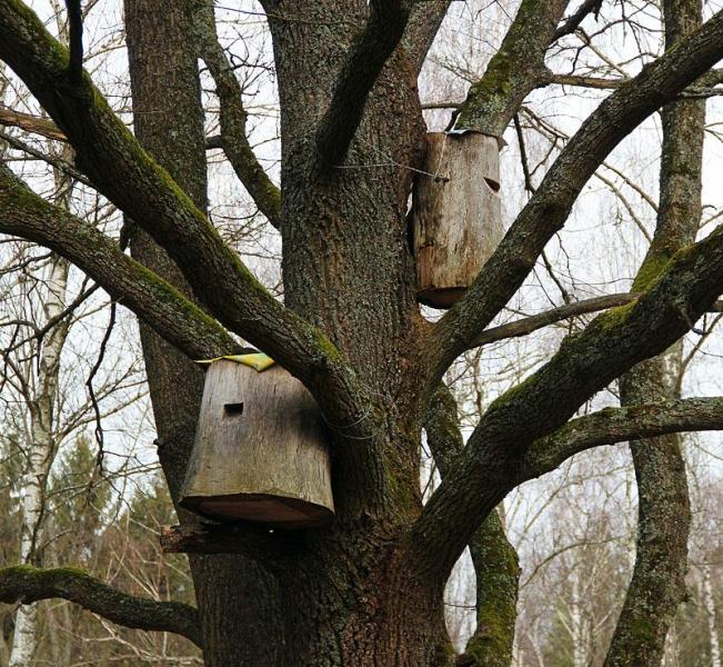 iotkjfgthdftd.thumb.jpg.1a17741aaa2237d0