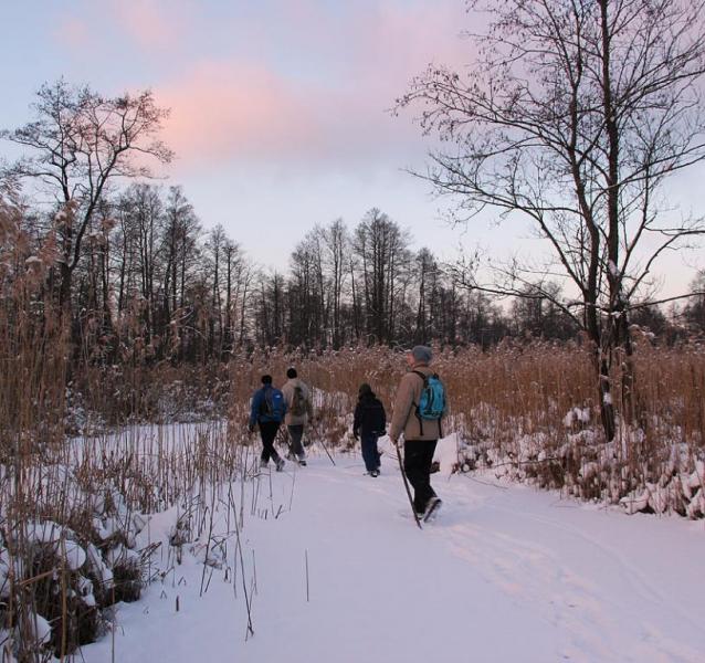 iufdfdddhjj.thumb.jpg.ac287466ffe96df176