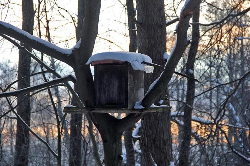 iuhtydsdsdss.thumb.jpg.49742e78c06258d27