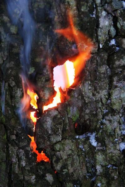 iuykjdghf.thumb.jpg.49e35cee856a983dfa66