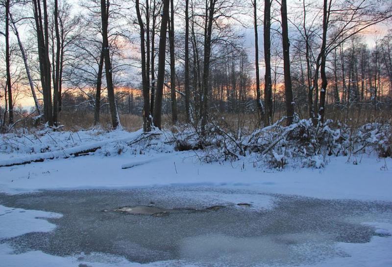 iyujtrhsgrf.thumb.jpg.e7b032d7f89a788aaf