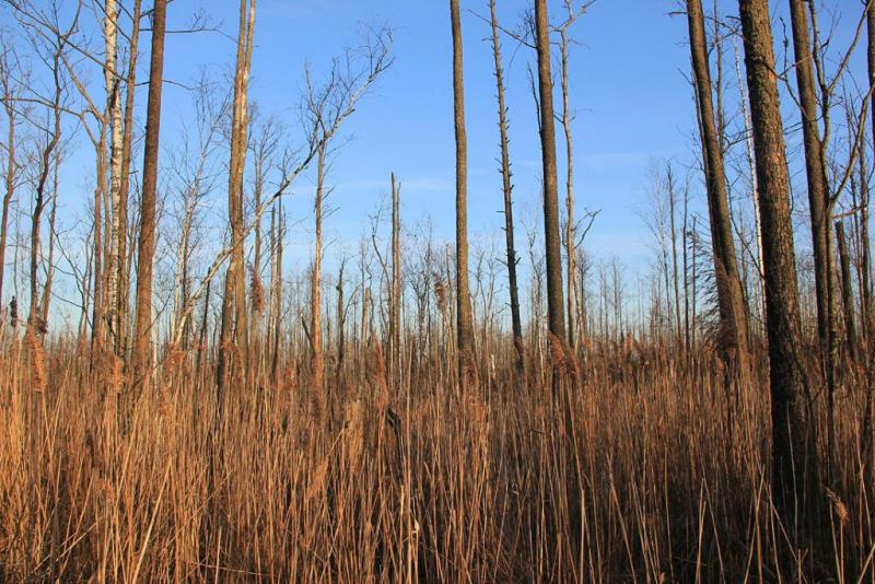 jdrgesresrtt.thumb.jpg.9bb2c33a36de2b04c