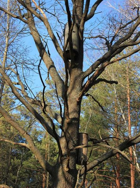 jityhjdtrhfdt.thumb.jpg.d4e25b974a55efa6