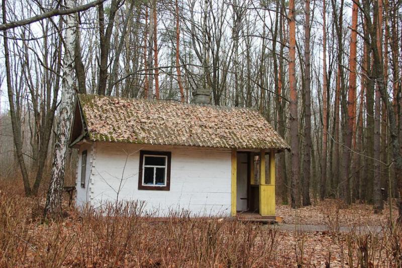 jjgxsdgrfsdr.thumb.jpg.dfb7a34988813ef73