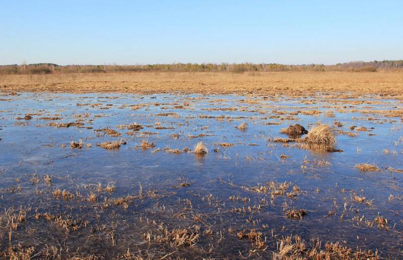 jkgfyujfdfd.thumb.jpg.071a6884e74c6c6ed5