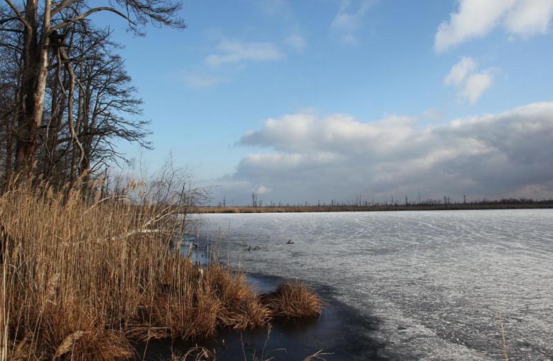 jktyjsrawe.thumb.jpg.4ebc23f991e3563751b