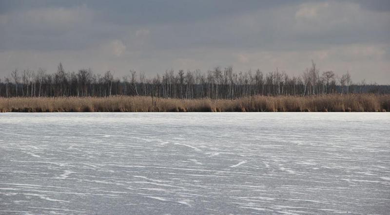 jkukfgsergsthty.thumb.jpg.198045ea842dc7