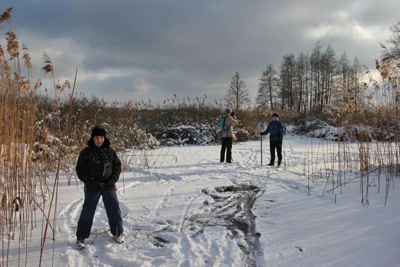 jkyujfhgsdddddddd.thumb.jpg.618336d71f41