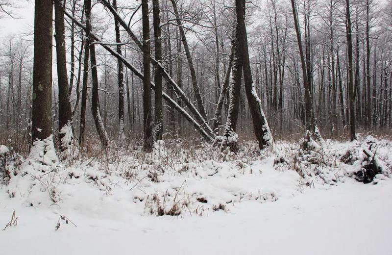 jr67rt6hyerte.thumb.jpg.8c7fbc4d41b8fedf