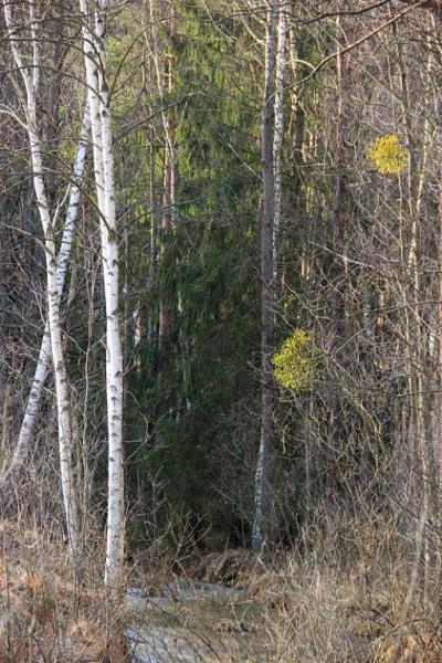 jrtdgrseert.thumb.jpg.8aaf09468396a3825e