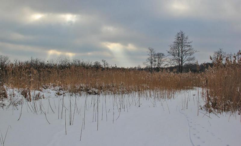 jtdddddddddhuju.thumb.jpg.6aac42e9963d75