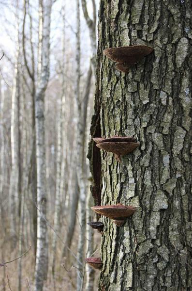 jtygsergdtrer.thumb.jpg.b9e6d919ea92da3e