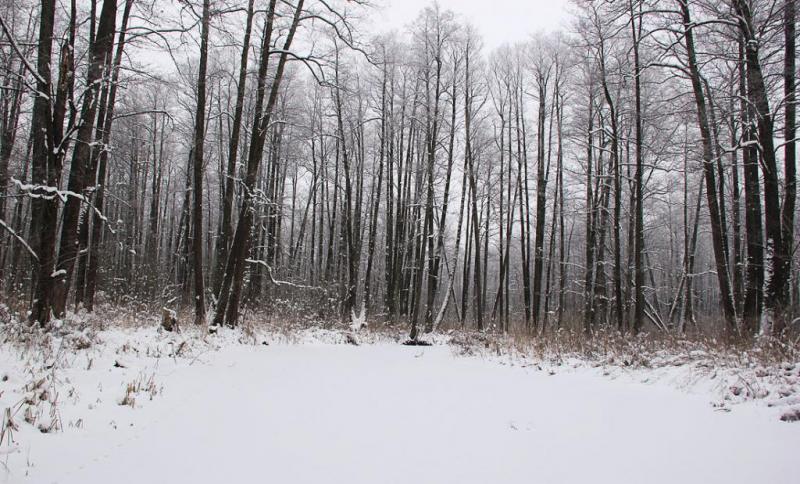 jtyhgrerswe.thumb.jpg.40881d78c878bc07c2