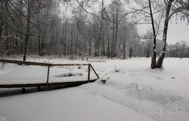 jtyhtrgrdgr.thumb.jpg.242edc50df844b3a83