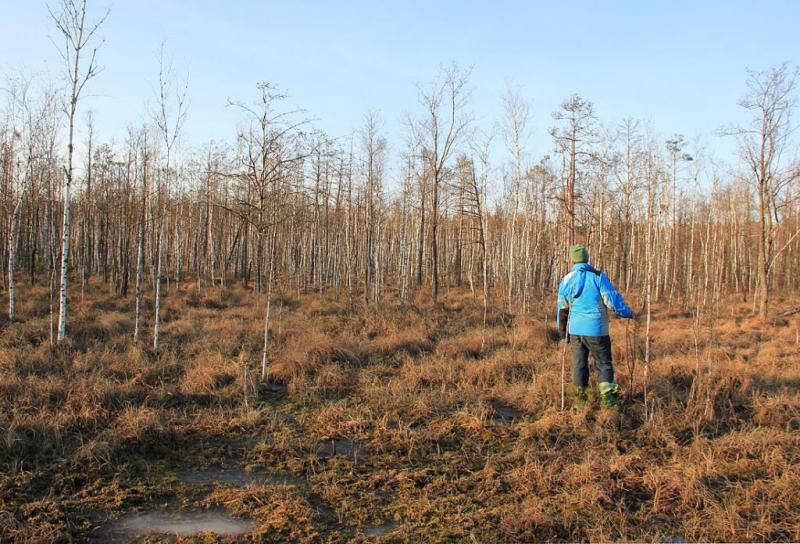 jtyjddgfdfjuyu.thumb.jpg.8af24421ec6bc4c